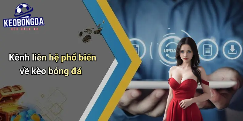 liên hệ