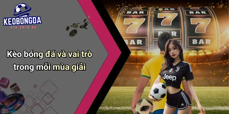 Các Giải Đấu Yêu Thích