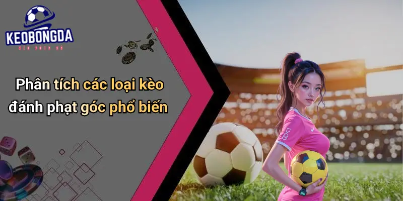 Nghiên Cứu Đánh Phạt Góc