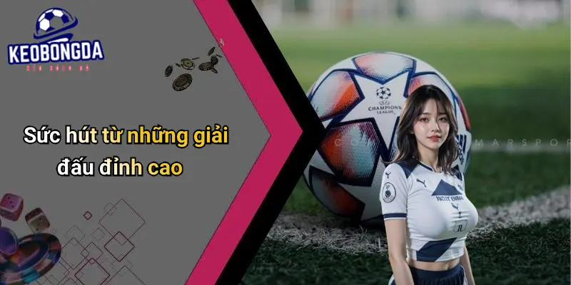 Các Giải Đấu Yêu Thích