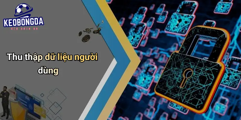 Chính Sách Bảo Mật