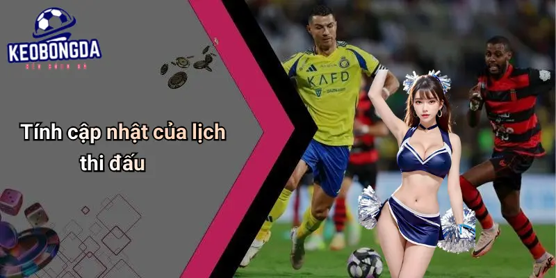 Lịch Thi Đấu