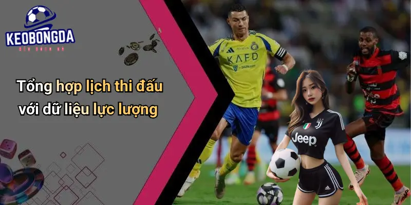 Lịch Thi Đấu