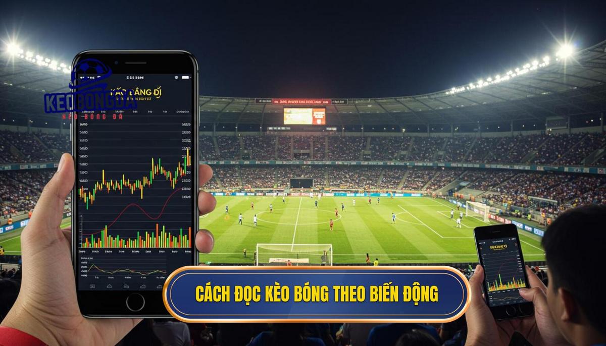 2. Hướng dẫn chi tiết Cách đọc tỷ lệ kèo bóng đá theo biến động thị trường